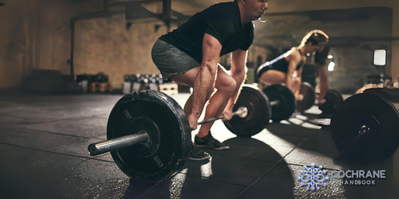 Strength Training Exercises